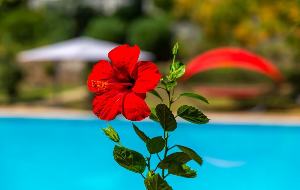 Marmaris Holiday Villas Exterior foto